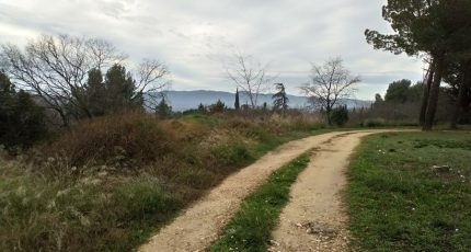 Cadenet Terrain à bâtir - 2058325-11041annonce520250121sVVrb.jpeg Maisons Open