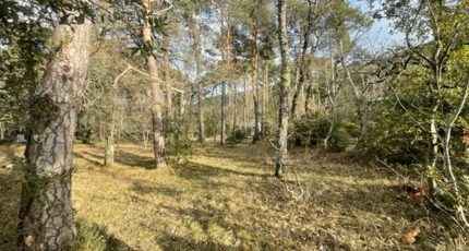 Plan-d'Aups-Sainte-Baume Terrain à bâtir - 2058329-11041annonce520250121xnDTM.jpeg Maisons Open