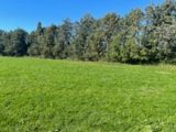  2062418-11041annonce220250126Beg4g.jpeg Maisons Open