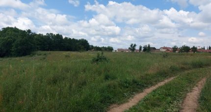 Bérat Terrain à bâtir - 2066334-10326annonce220250130qTuo4.jpeg Maisons Open