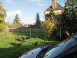  2071912-6004annonce120250206qzTxC.jpeg Maisons Open
