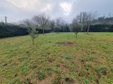  2070768-10960annonce120250205Kq5WT.jpeg Maisons Open