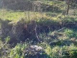  2070894-11191annonce320250205x6te6.jpeg Maisons Open