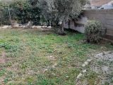  2068605-11191annonce320250203SvbLw.jpeg Maisons Open