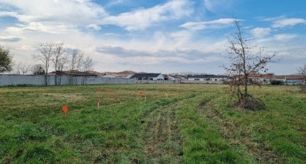 Lavernose-Lacasse Terrain à bâtir - 2074167-10326annonce220250207nT05K.jpeg Maisons Open