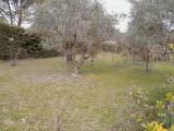  2076036-11191annonce22025021150hi0.jpeg Maisons Open