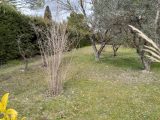  2076036-11191annonce420250211i6XnC.jpeg Maisons Open