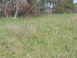  2078701-11191annonce220250213LhIkU.jpeg Maisons Open