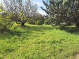  2078717-11191annonce220250213Kt9mH.jpeg Maisons Open