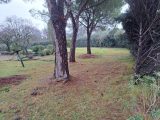  2082674-10682annonce2202502176Lsr2.jpeg Maisons Open