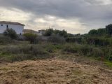  2084365-4866annonce1202502195d0J5.jpeg Maisons Open
