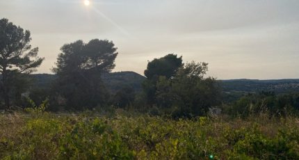 Le Castellet Terrain à bâtir - 2084385-4866annonce120250219CNpQf.jpeg Maisons Open