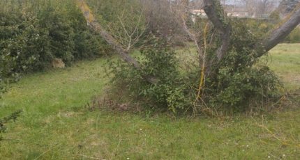 Le Puy-Sainte-Réparade Terrain à bâtir - 2093413-11191annonce120250228TBLwT.jpeg Maisons Open