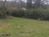  2093413-11191annonce220250228nT1I4.jpeg Maisons Open
