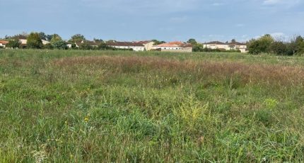 Gaillac Terrain à bâtir - 2098521-2684annonce220250306Go9UE.jpeg Maisons Open