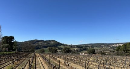 Le Castellet Terrain à bâtir - 2099718-4590annonce120250307BeQXx.jpeg Maisons Open