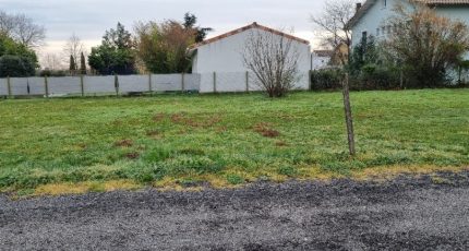Saubens Terrain à bâtir - 2099592-10326annonce220250307rLdgc.jpeg Maisons Open