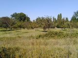  2101270-695annonce220250310wsPlJ.jpeg Maisons Open