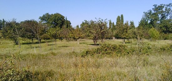 Terrain à bâtir à , Bouches-du-Rhône