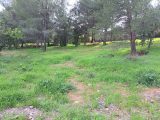  2106702-11041annonce220250314PFFxM.jpeg Maisons Open