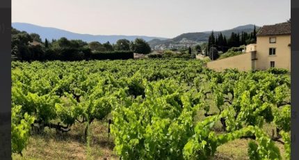 Vaison-la-Romaine Terrain à bâtir - 2106771-617annonce220231023tRXNn.jpeg Maisons Open