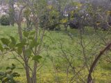  2105272-11191annonce220250313eMbTw.jpeg Maisons Open