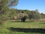  2110452-11238annonce120250318AQTi3.jpeg Maisons Open