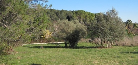 Terrain à bâtir à Trets, Provence-Alpes-Côte d'Azur