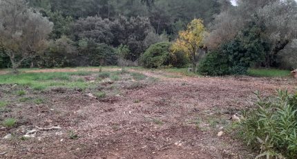 Cuers Terrain à bâtir - 2113296-4866annonce220250321ifcEf.jpeg Maisons Open