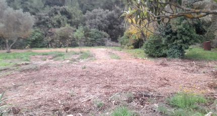 Cuers Terrain à bâtir - 2113296-4866annonce320250321Q0bEK.jpeg Maisons Open