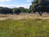  2115749-695annonce120250324dU85E.jpeg Maisons Open
