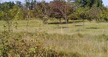 Pernes-les-Fontaines Terrain à bâtir - 2118916-695annonce420250327BTfAd.jpeg Maisons Open