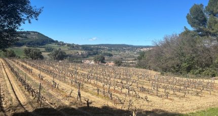 Le Castellet Terrain à bâtir - 2118222-5622annonce320250326c5hml.jpeg Maisons Open