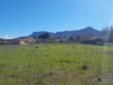  2118447-11238annonce420250326lACq3.jpeg Maisons Open