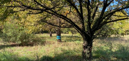 Terrain à bâtir à , Var