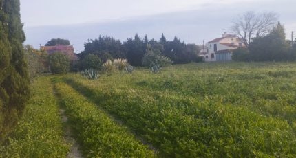 Istres Terrain à bâtir - 2125813-11191annonce220250405RuhwX.jpeg Maisons Open