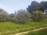  2125831-11191annonce220250405JqPTL.jpeg Maisons Open