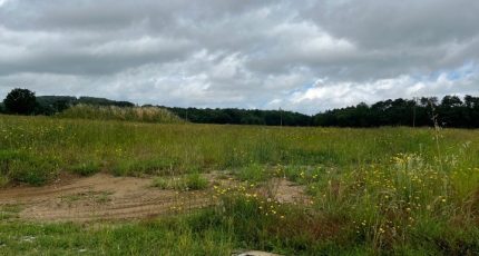 Briatexte Terrain à bâtir - 2113523-2684annonce220250321WQmSh.jpeg Maisons Open