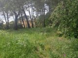  2149422-11238annonce3202505065gsSe.jpeg Maisons Open