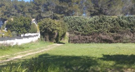 Fontvieille Terrain à bâtir - 2149470-11191annonce320250506KSwzv.jpeg Maisons Open