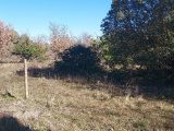  2156866-695annonce220250514NGBT1.jpeg Maisons Open