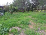  2159059-11041annonce120250516dMnvd.jpeg Maisons Open