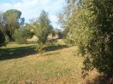  2166516-1594annonce1202505226se0r.jpeg Maisons Open