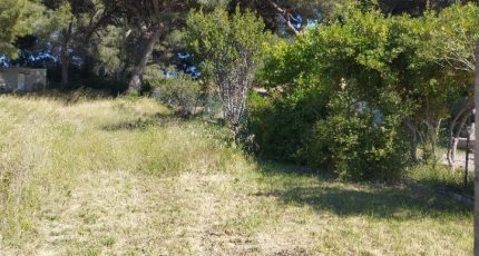 Martigues Terrain à bâtir - 2171329-11191annonce420250527PX1SK.jpeg Maisons Open