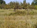  2178618-695annonce420250603nd2KS.jpeg Maisons Open