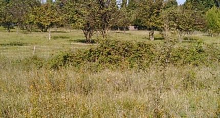 Caumont-sur-Durance Terrain à bâtir - 2178618-695annonce420250603nd2KS.jpeg Maisons Open