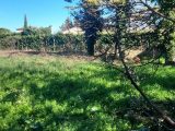  2191973-695annonce4202506133pDOr.jpeg Maisons Open