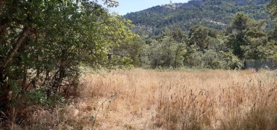 Terrain à bâtir à Plan-d'Aups-Sainte-Baume, Provence-Alpes-Côte d'Azur