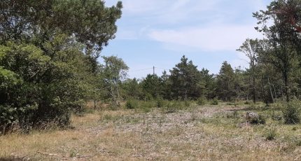 Plan-d'Aups-Sainte-Baume Terrain à bâtir - 2196224-10682annonce220250618PgE42.jpeg Maisons Open