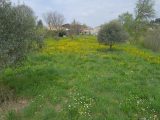  2197860-10682annonce320250619Gy9Rv.jpeg Maisons Open